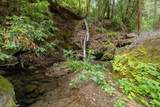 02 Bear Creek - Photo 22