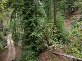 02 Bear Creek - Photo 28