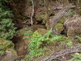 02 Bear Creek - Photo 29