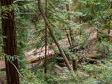 02 Bear Creek - Photo 34