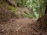 02 Bear Creek - Photo 6