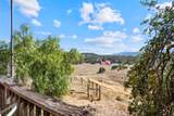 20101 Panoche Road - Photo 44