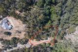 00 Lupine Lane - Photo 8