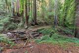 3946 Tunitas Creek Road - Photo 2
