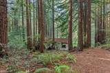 3946 Tunitas Creek Road - Photo 21