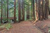 3946 Tunitas Creek Road - Photo 22