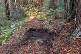 3946 Tunitas Creek Road - Photo 3