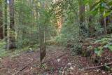 3946 Tunitas Creek Road - Photo 4