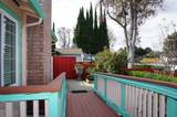 35037 Begonia Street - Photo 5