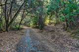 21901 Marcus Ln - Photo 13