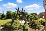 3112 View Drive - Photo 44