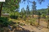 105 Avery Sheep Ranch Rd - Photo 10