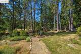 105 Avery Sheep Ranch Rd - Photo 49