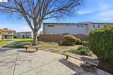34597 Bluestone Cmn - Photo 34