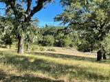 34221 Robinson Canyon Road - Photo 9