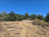 350 Via Los Tulares - Photo 13