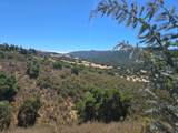 350 Via Los Tulares - Photo 19