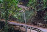Lot 185 Garrapatos Redwoods Trail - Photo 9