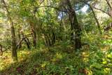 Lot 53 Lakeview Avenue - Photo 11