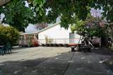 35037 Begonia Street - Photo 31