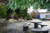 35037 Begonia Street - Photo 32