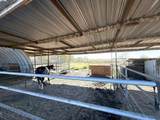 6943 Piper Rd - Photo 29