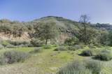 43515 Carmel Valley Road - Photo 39