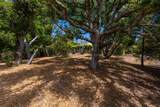 388 Aptos Ridge Circle - Photo 55