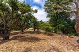 388 Aptos Ridge Circle - Photo 56