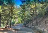 0 Old Logging Road - Photo 1