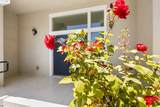 5915 Balboa Dr - Photo 2