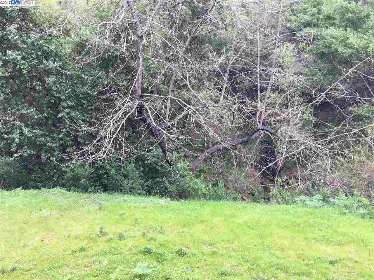 0 Canyon Dr - Photo 1