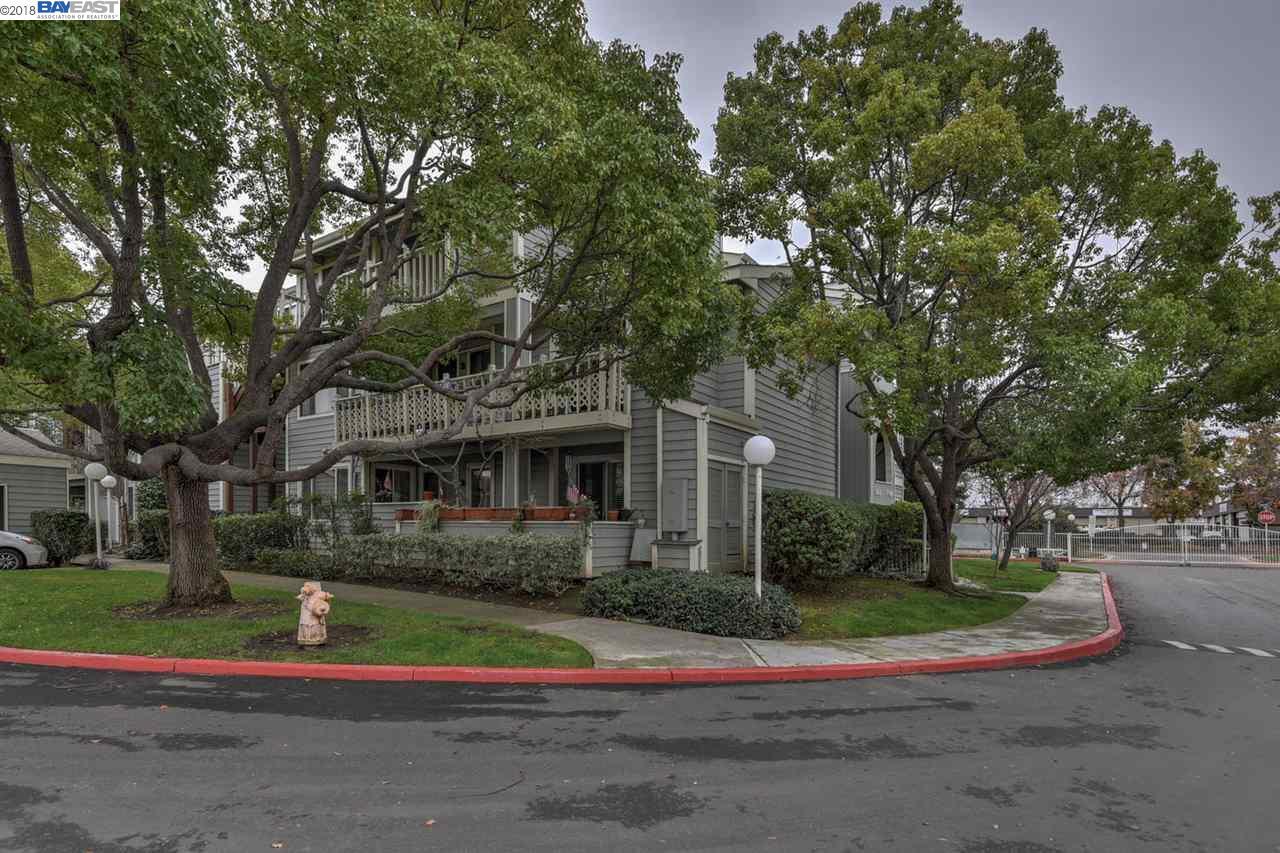 3648 Birchwood Ter - Photo 1