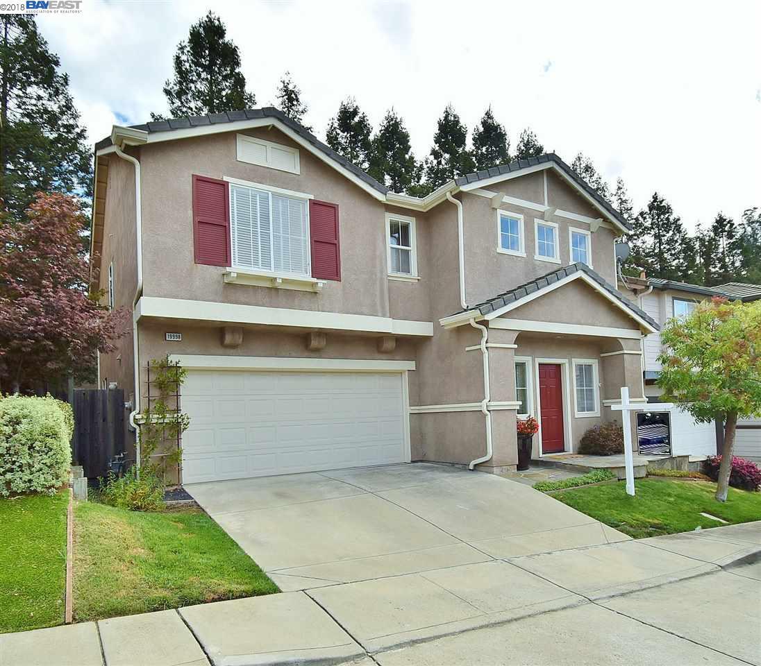 19998 Shadow Creek Cir - Photo 1