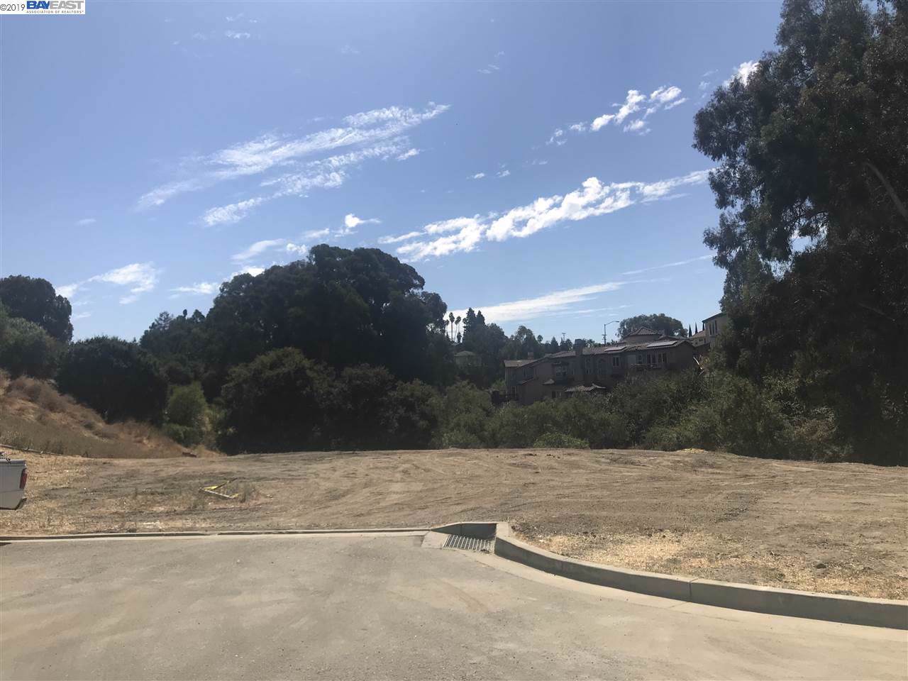 24390 Israel Ct - Photo 1