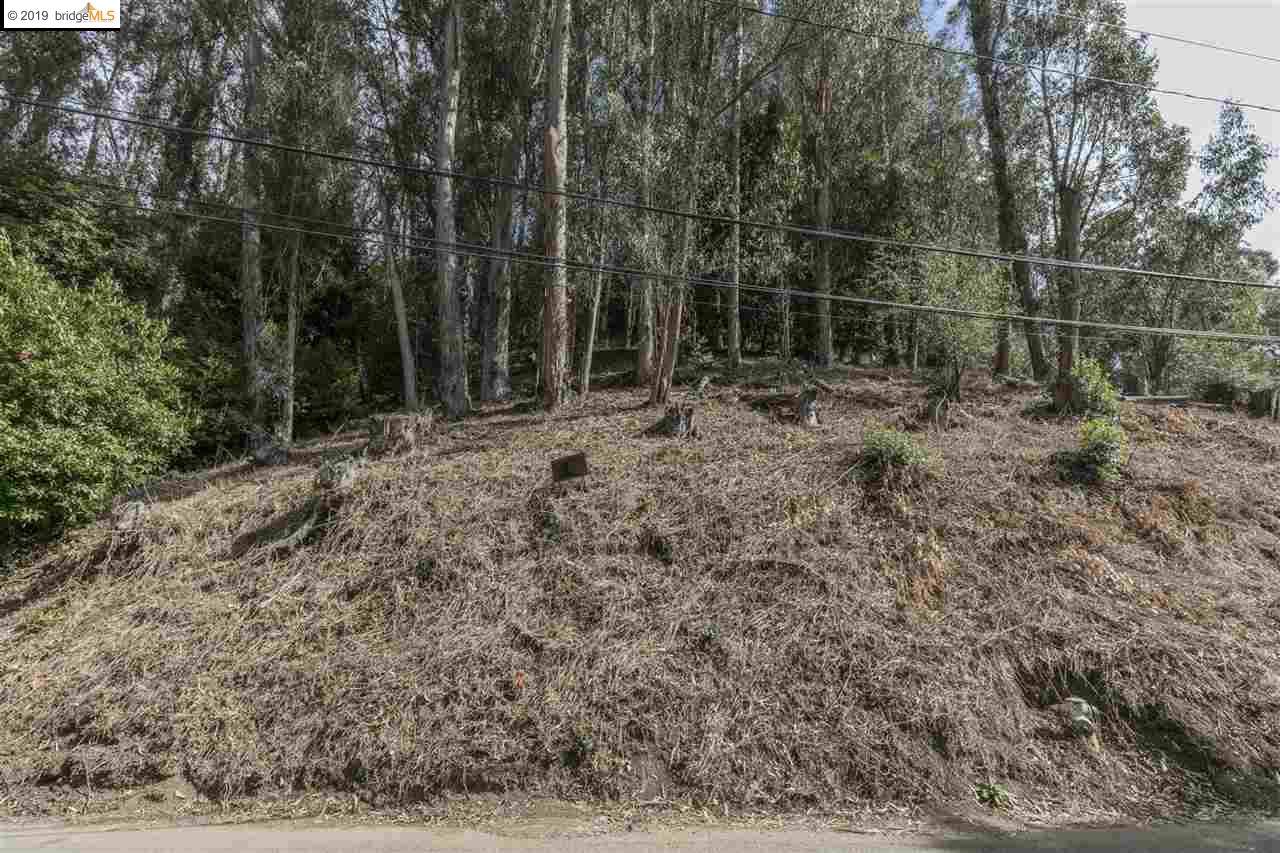 6931 Balsam Way - Photo 1
