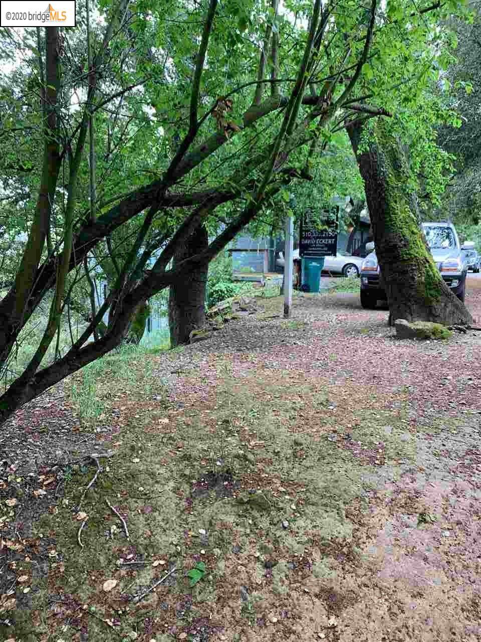 4709 Mendenhall Rd - Photo 1