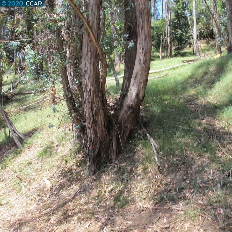 00 Woodrow Drive - Photo 1