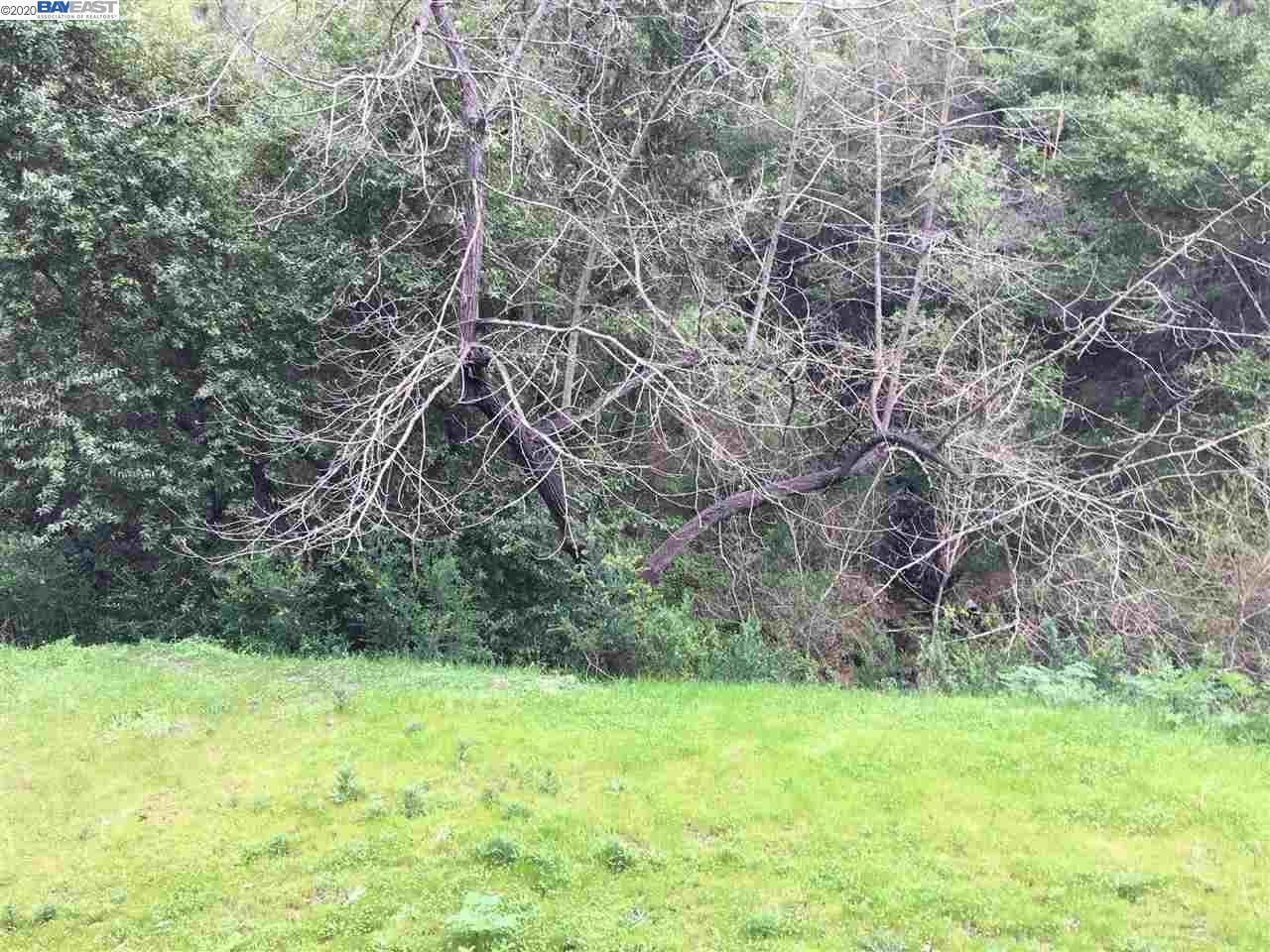0 Canyon Dr - Photo 1