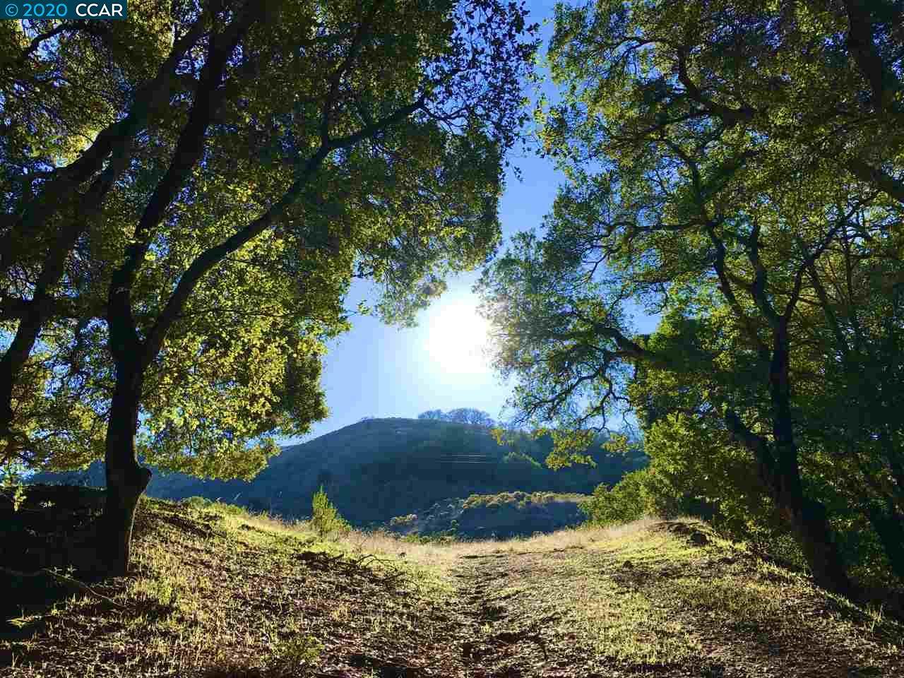 0 Bollinger Canyon Road - Photo 1