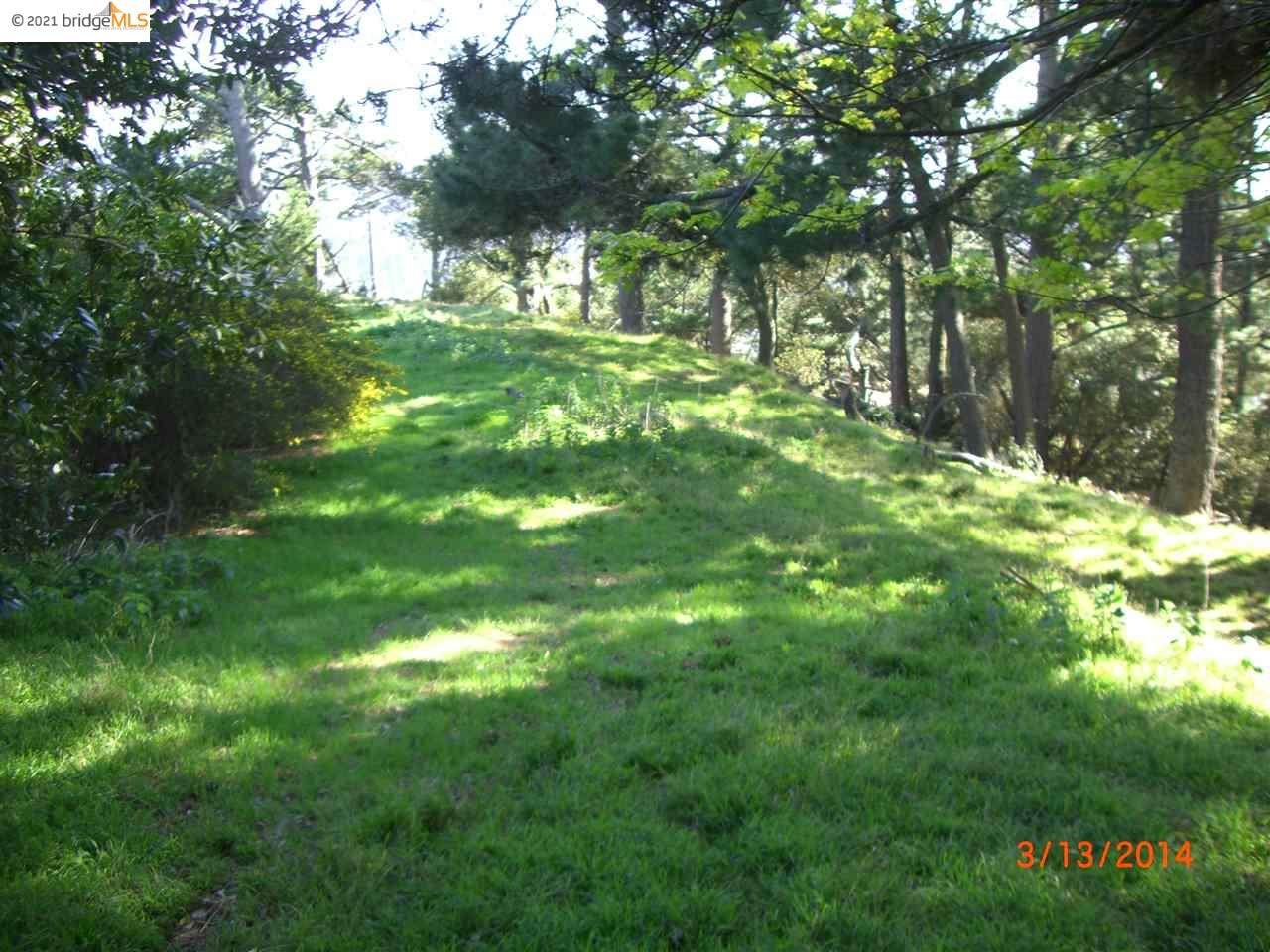 6060 Grizzly Peak Blvd - Photo 1