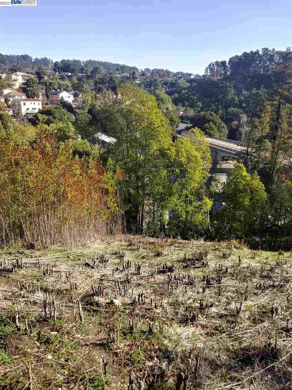 00 Oak Knoll Blvd - Photo 1