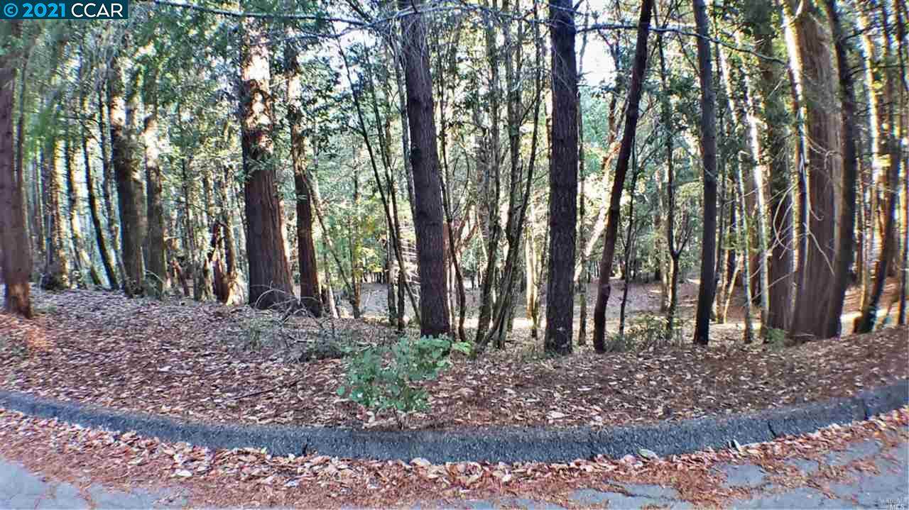 1740 Buckeye Rd - Photo 1