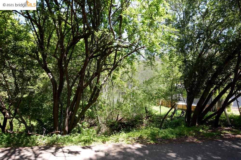 0 Robinson Dr - Photo 1