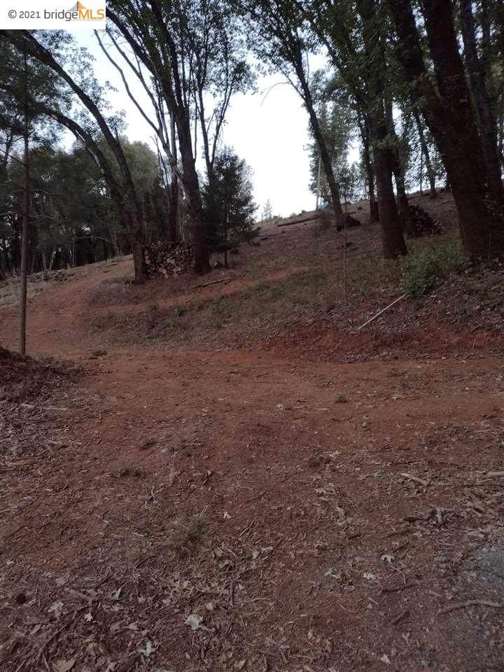 6230 Manhattan Creek Rd - Photo 1