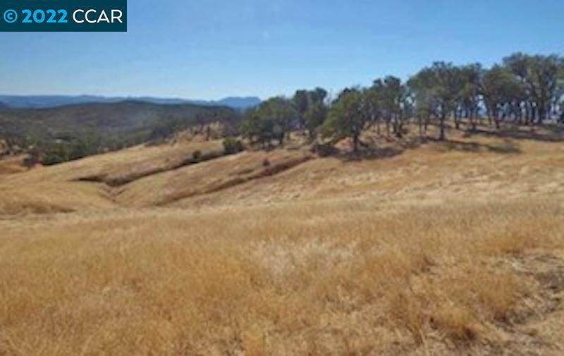 22014 Morgan Valley Road - Photo 1