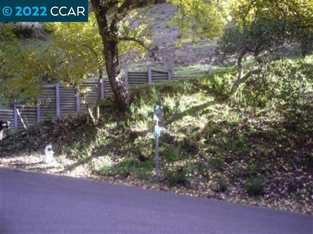 7325 Saroni Dr - Photo 1
