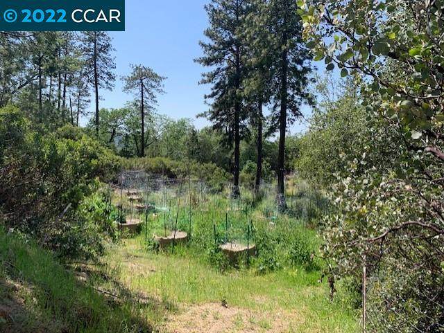 17293 Black Forest Ln - Photo 1