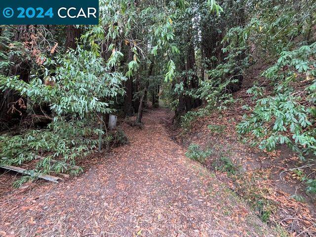 16631 Watson Road - Photo 1