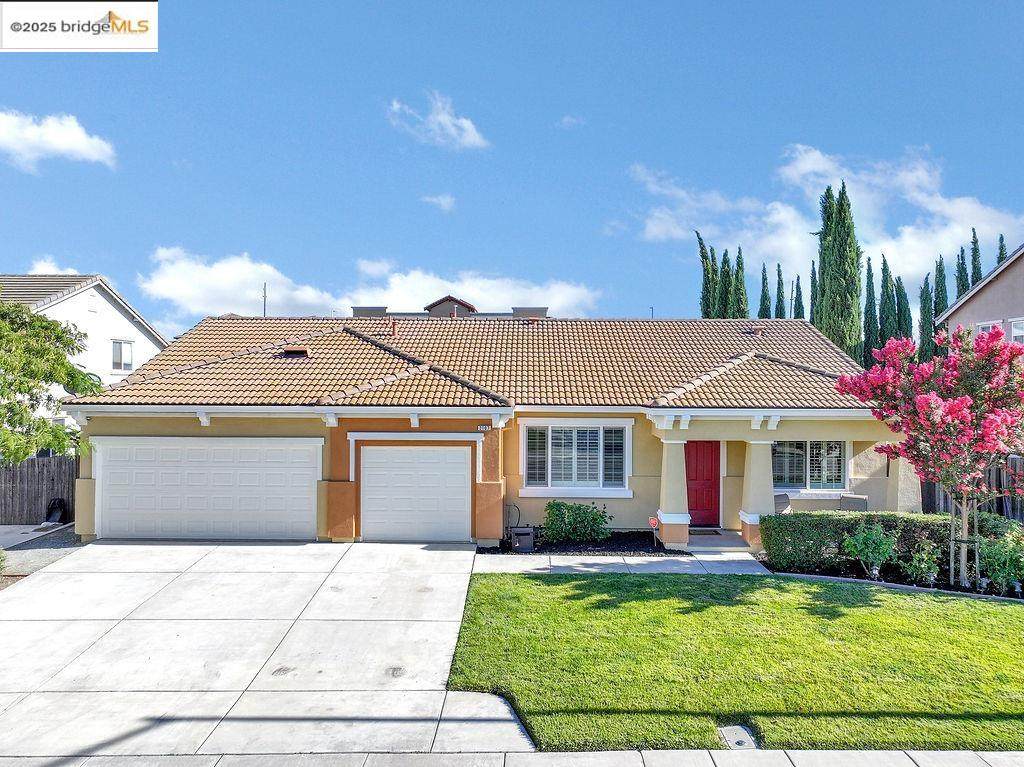 2107 Chicory Dr - Photo 1